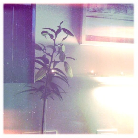 tumblr_ma4mh4NujX1qevgkro1_1280