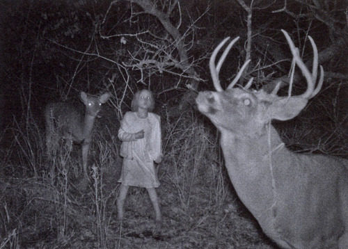 tumblr_m37onuyx2i1qz9338o1_500