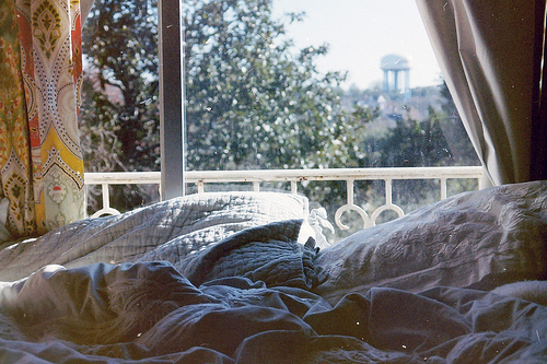 tumblr_lzqgntSStP1r90rkno1_500_large