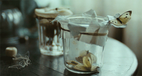 tumblr_lzwhau9uKs1r0o3gio1_500