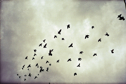 tumblr_lqqb7cy2Xw1qh990d