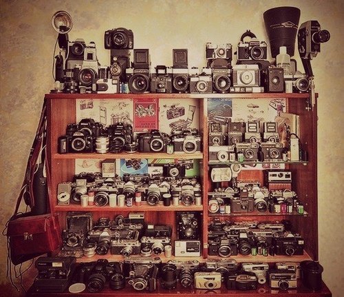 tumblr_mbutwfnmhZ1ru7qcqo1_500_large