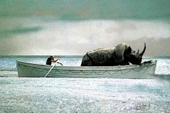 112242524-d4c4bfe9-988f-46f2-93cb-ab9255d97665