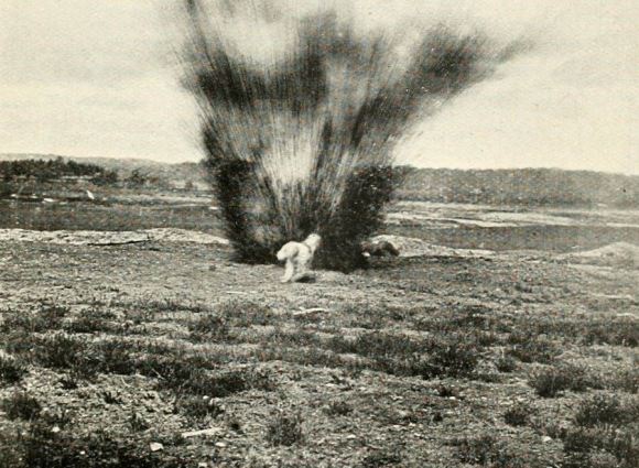 tumblr_m7e9tkDVqJ1r303reo1_1280