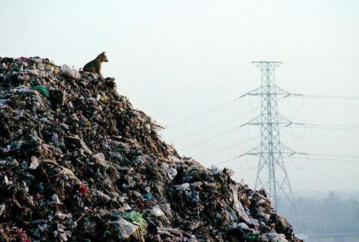 18311_10153201437620909_1253743106900332567_n